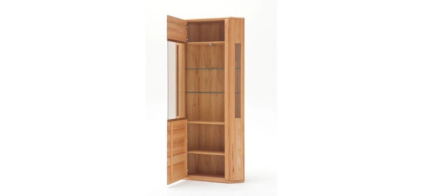 a376f5de929c0a70348b98e6ddaa7b46ca205671 ls3480 vitrine t16 kernbuche detail