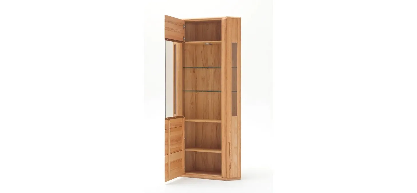 a376f5de929c0a70348b98e6ddaa7b46ca205671 ls3480 vitrine t16 kernbuche detail