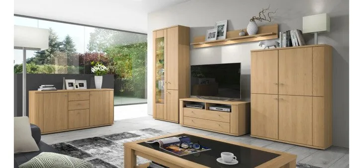 9a48e6e330f242de80a6213d4351f6900d62bd9b LS4970 modell masterbild