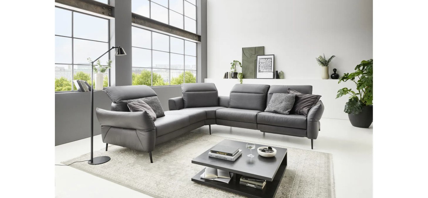 142fad873f42fe38f1d385c49c8cf918ee163948 LS24 Leone milieubild