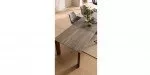 b35f388b66d06039e143b09135c075ede900dd3e 0312 na 25 esstisch saratoga buche silber de 008