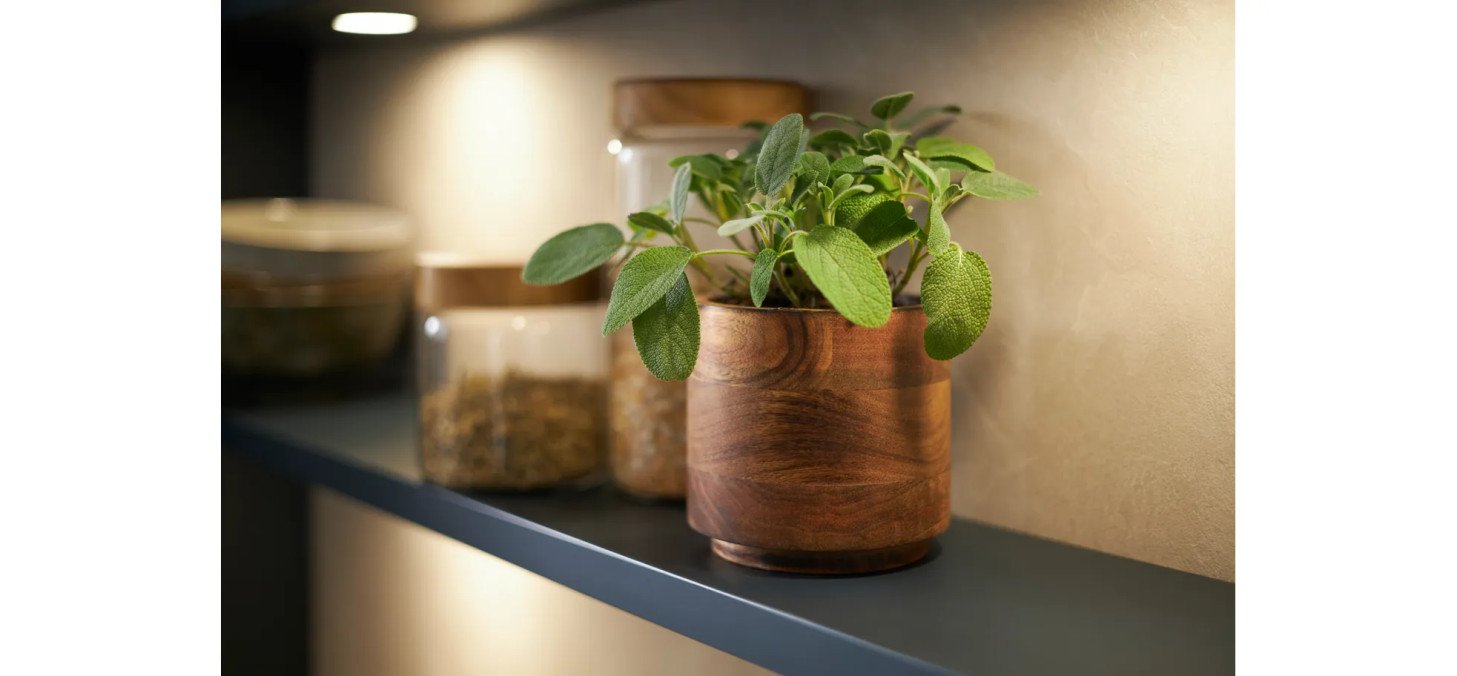 3ec967212c8f07987e87cbb6eac9f8a6ad284677 CO K01 1 Lineo Matera Mood3