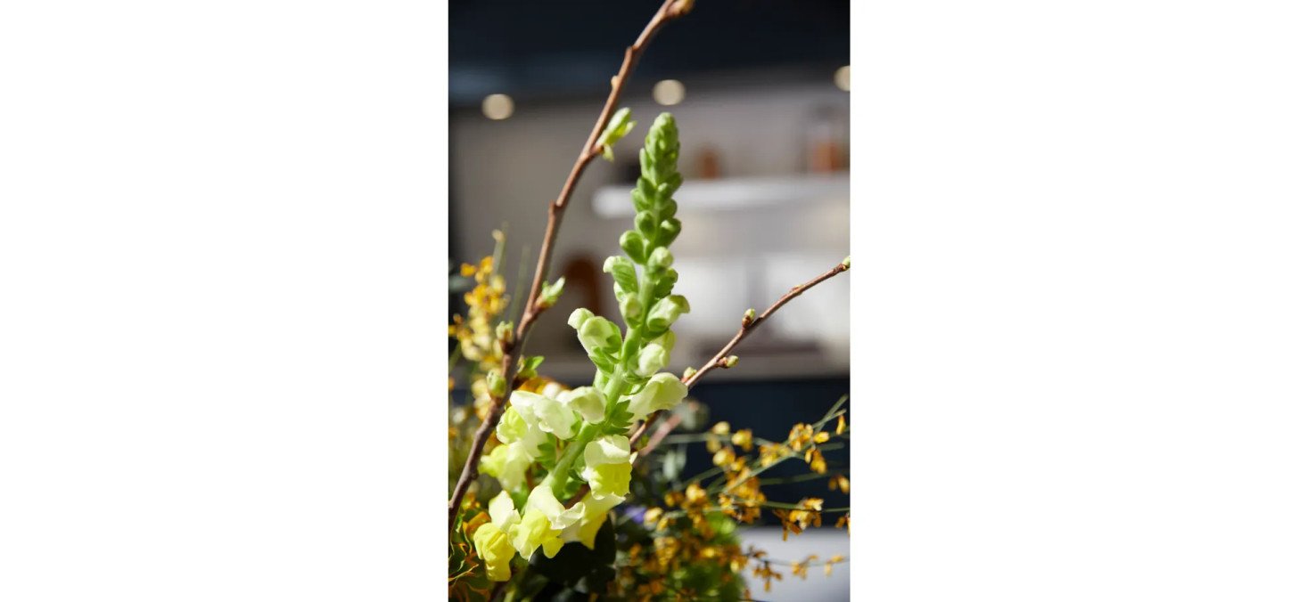 f9869a08c058014ac0ccaff92704f3ba6623b03f CO K01 2 Lineo Matera Mood03