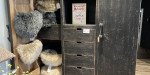 IMG 4118