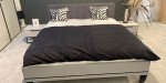 IMG 5383