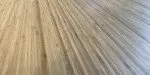 IMG 7213