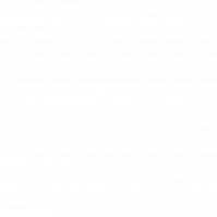 Bora Logo