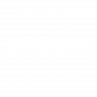 C.Disselkamp Logo
