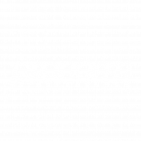 Pronorm Logo