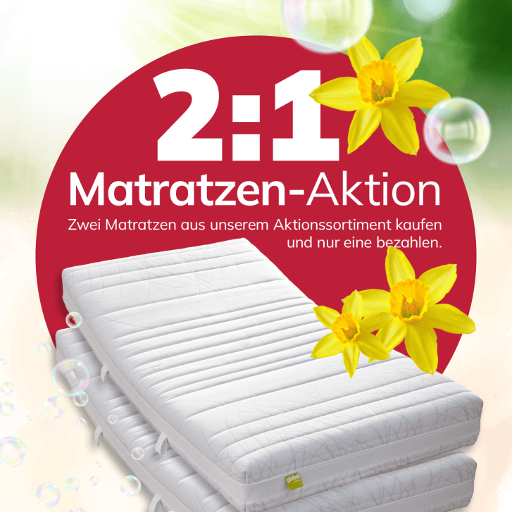 Wohnfuchs Fruehjahrsputz LP 26 01 13