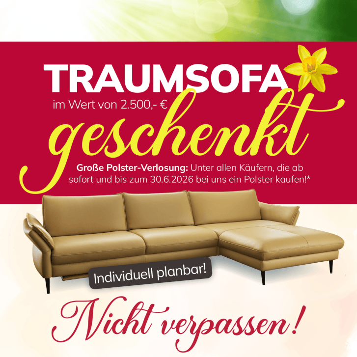 Wohnfuchs Fruehjahrsputz LP 26 01 14