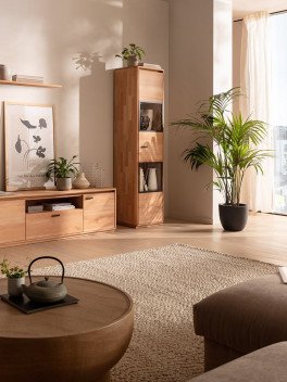 wohnwand kernbuche modernes Wohnzimmer 