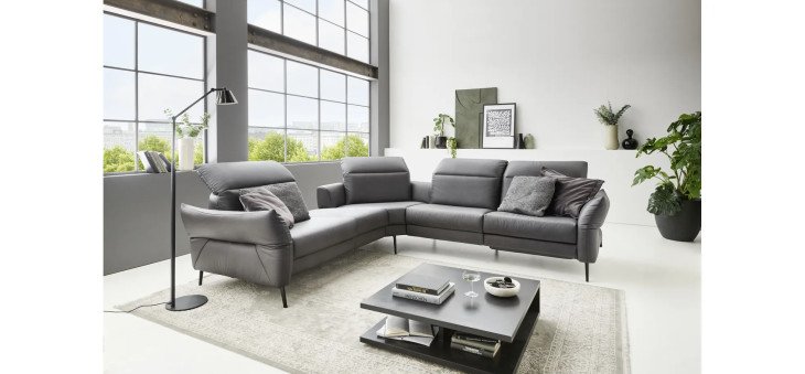 142fad873f42fe38f1d385c49c8cf918ee163948 LS24 Leone milieubild