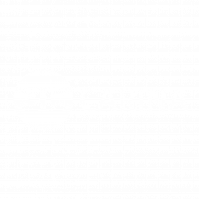 Carina Logo