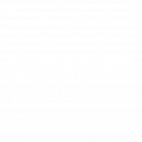 Niehoff Logo