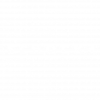 Schock Logo