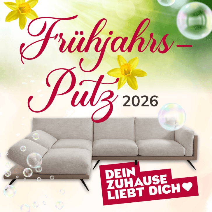 Wohnfuchs Fruehjahrsputz LP 26 01 15